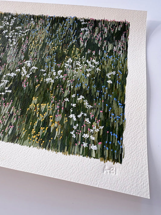 Meadow