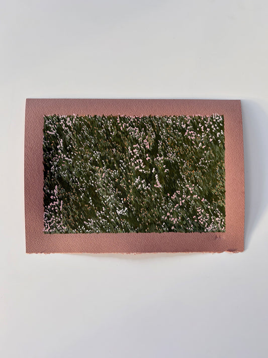Meadow on Pink
